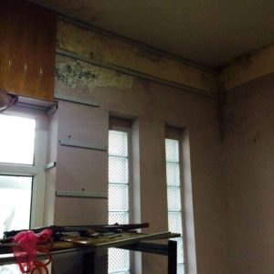 Ốp tường nhựa vân gỗ chống ẩm mốc giá rẻ